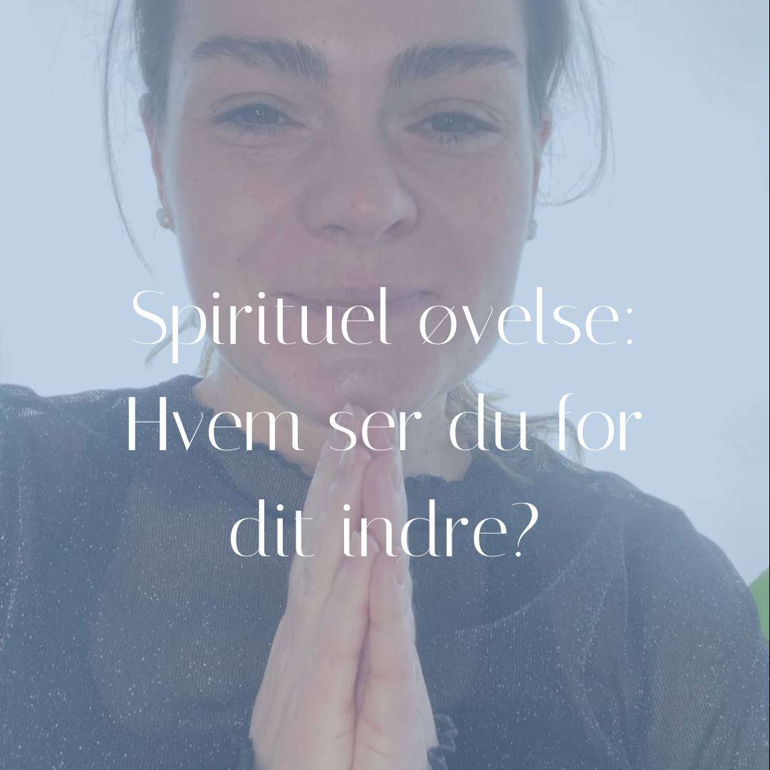 zazen_cph_astrologi_yoga_instagram:virtuel_assistent