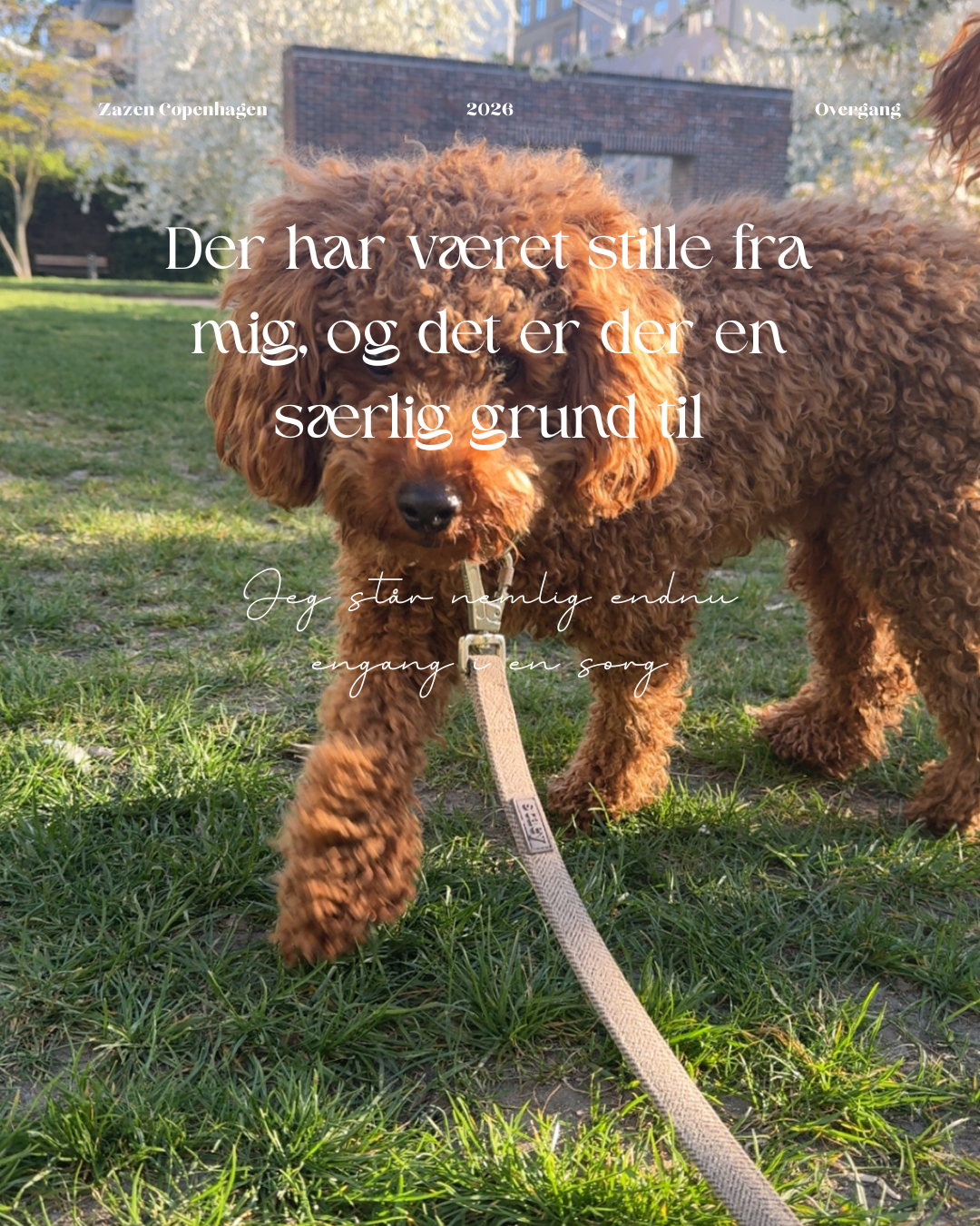 Zazen Copenhagen_cph_astrologi_yoga_OA_Overgangsalder_livsovergange_menopause_Christian